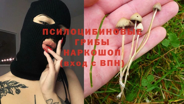 кокс Алексин